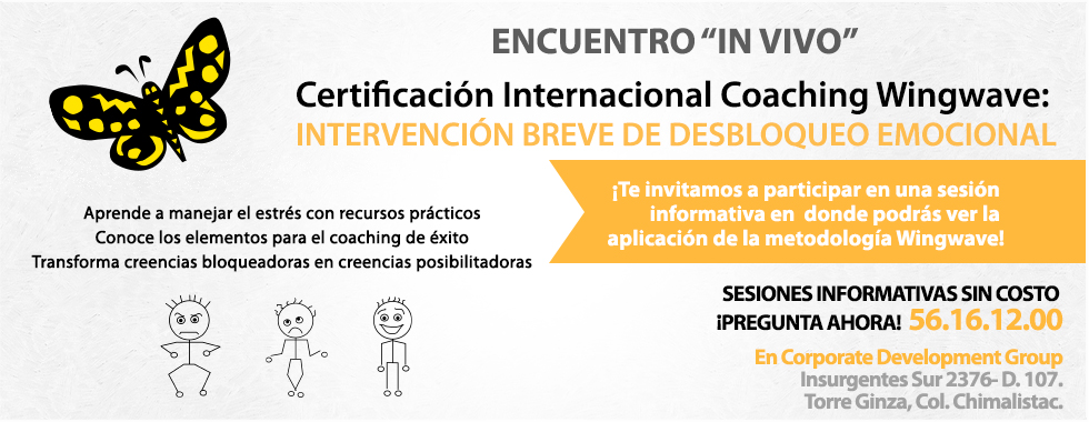 Certificación Internacional Coaching Wingwave